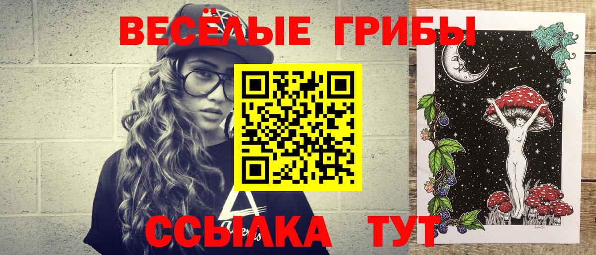 Галлюциногенные грибы Psilocybe  Вход с VPN  Ликино-Дулёво  Псилоцибиновые грибы прущие грибы 